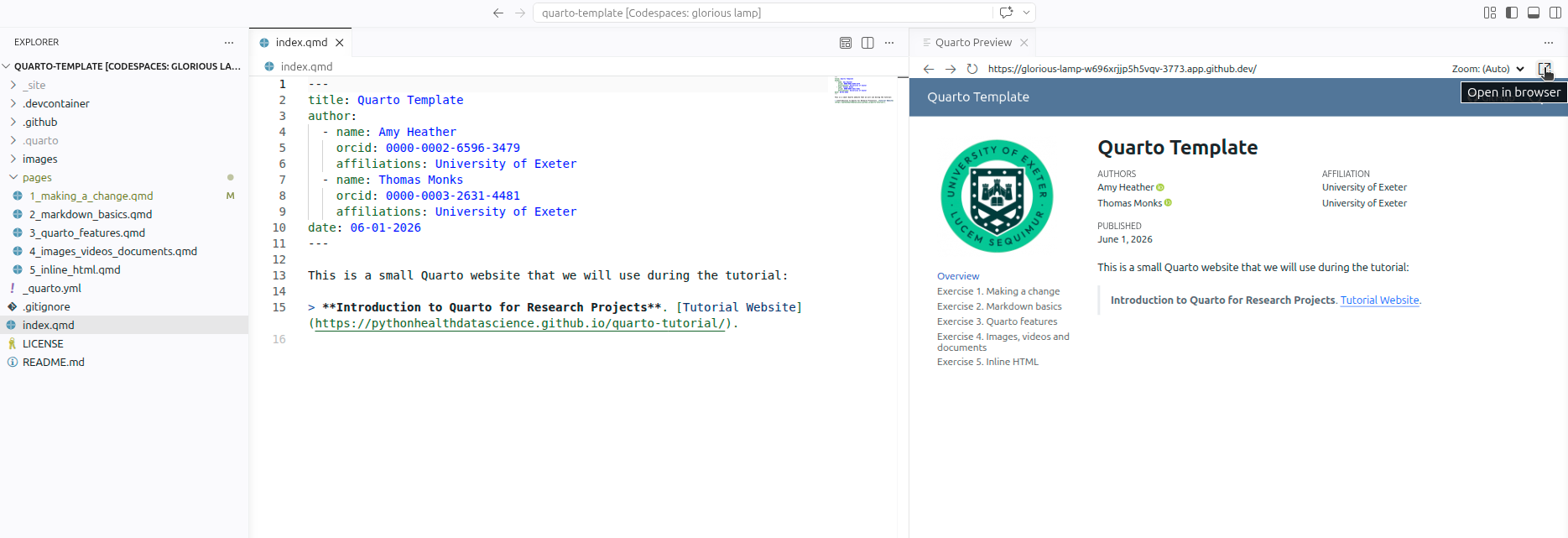 Screenshot of preview opened in-line, with cursor hovering over the 'Open in Browser' button.