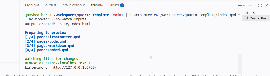 Screenshot of the 'Preparing to preview' message in the Terminal.
