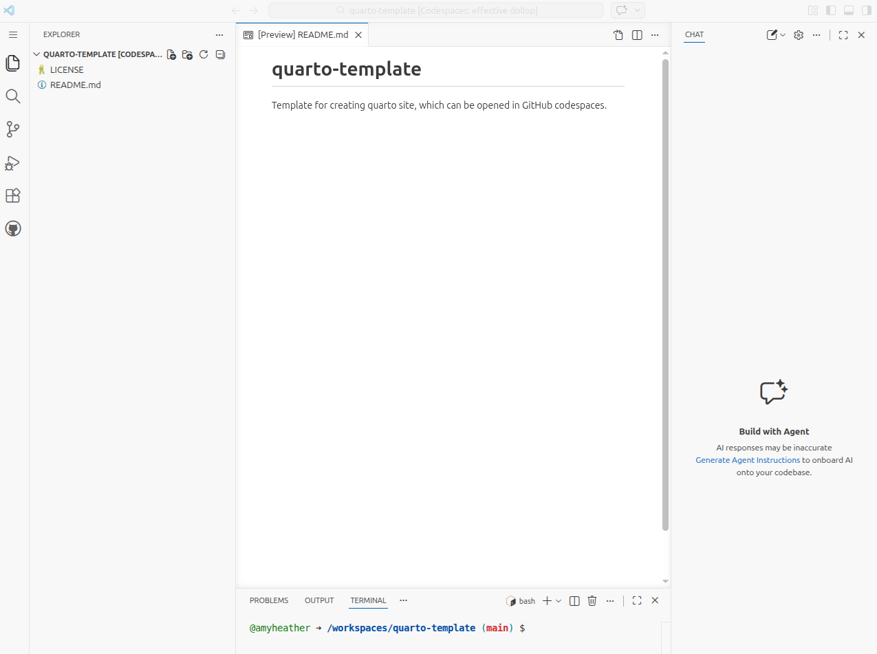 Screenshot of the generated GitHub codespace.