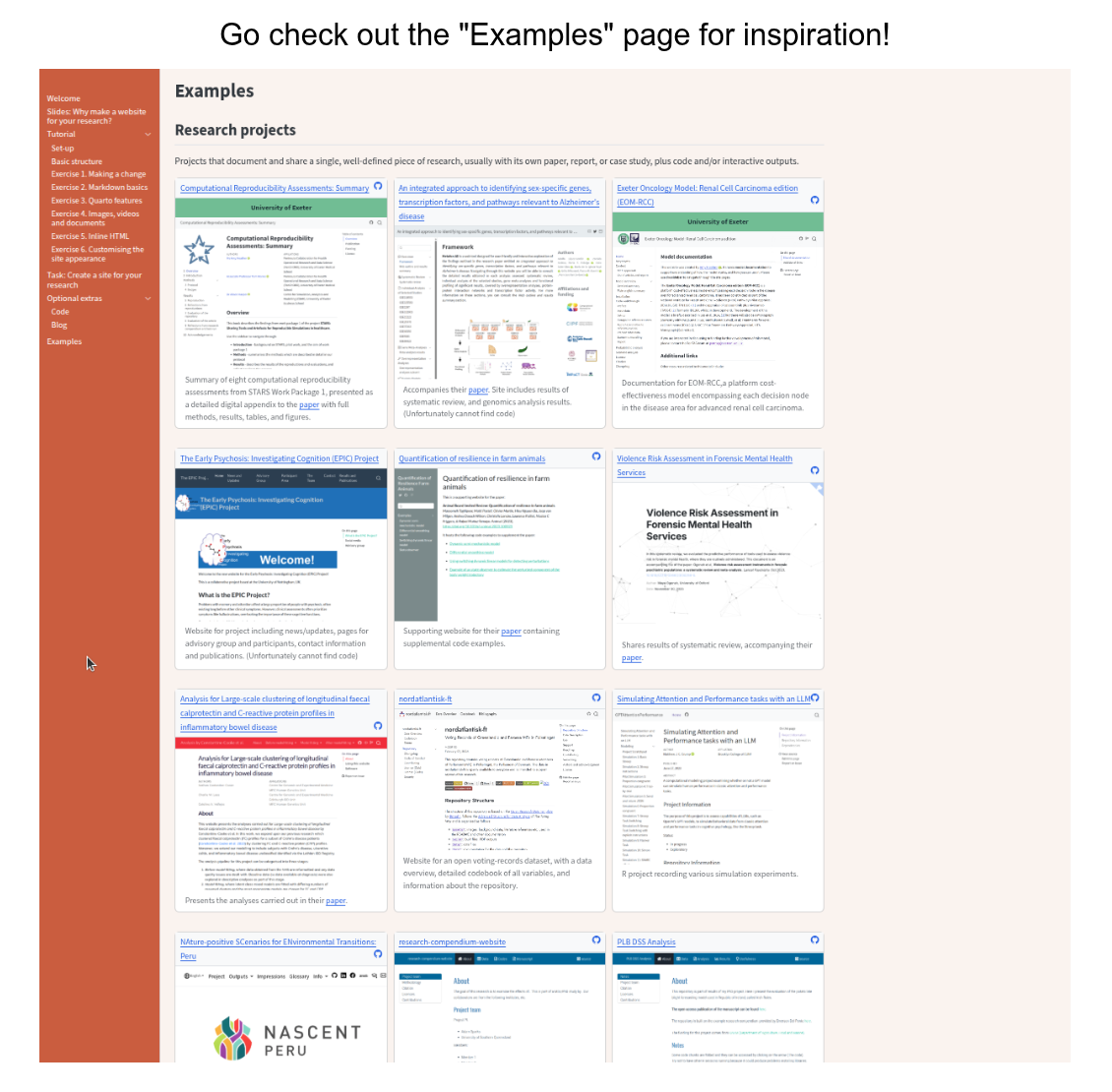Screenshot of examples page.